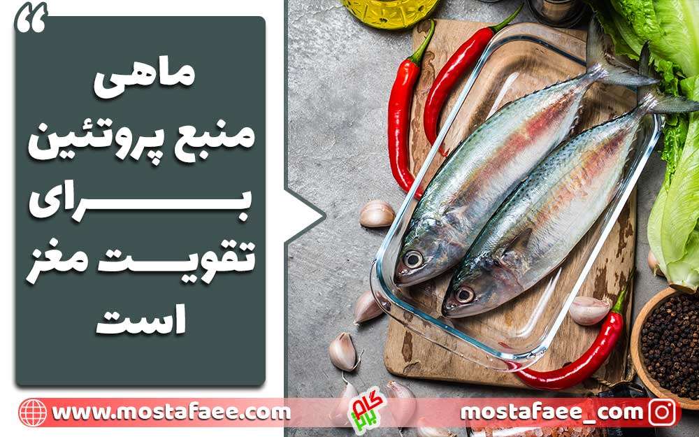 ماهی منبع مغذی برای افزایش تمرکز است